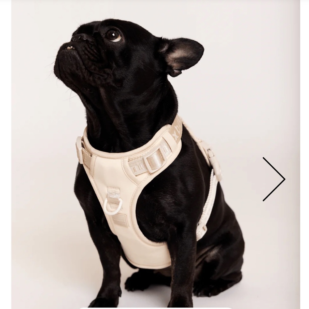Maxbone Easy Fit Adjustable Harness in size small